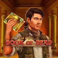 Book of Dead slot visual from Play'n GO available on spinanga-casino.org.gr